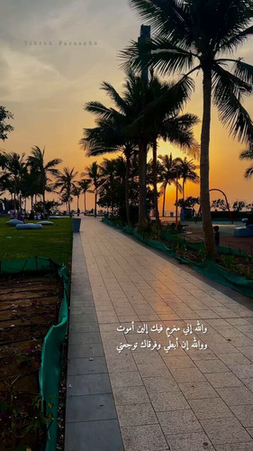 mu pCpdiTJ4DLulK.jpg