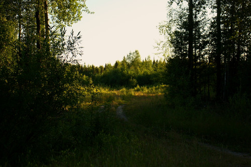 IMG 3255a1.jpg