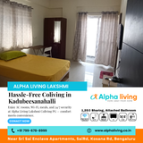 Looking for the perfect place to stay?
