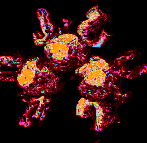 magneton opti gif.gif