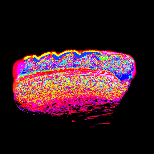 floppy dog goes for a stroll.gif