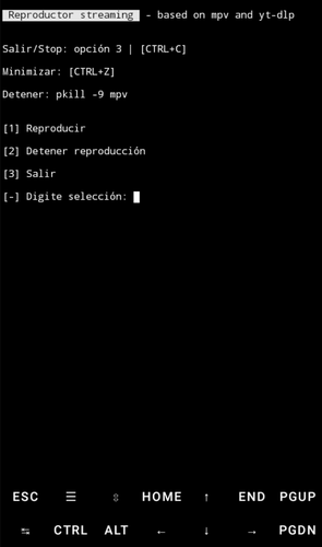 Polish 20250725 184211727