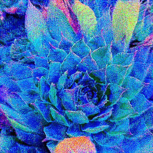 sempervivium