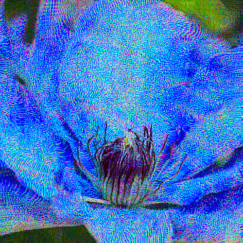 clematis