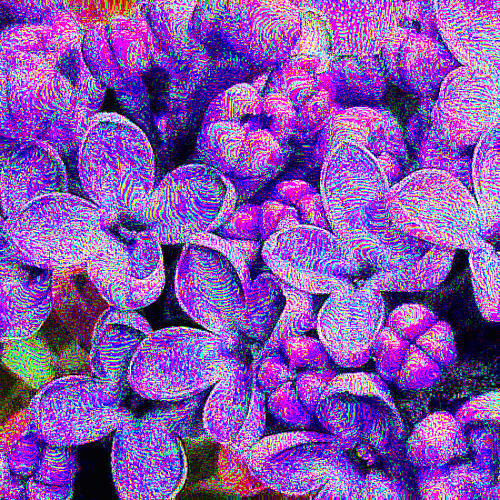 lilac
