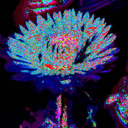 floweur
