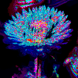 floweur