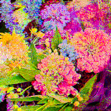assorted flowers