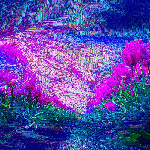 flower fields.gif