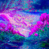flower fields