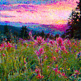 among the wildflowers