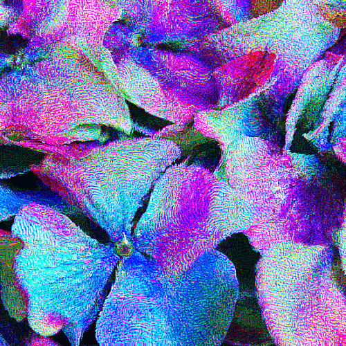 Hydrangea