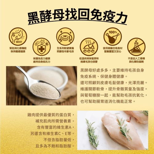 image WH 1200x1200px (44).jpg