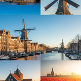 Gemini Generated Image als9eals9eals9ea (3)