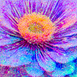 floral absorbtion