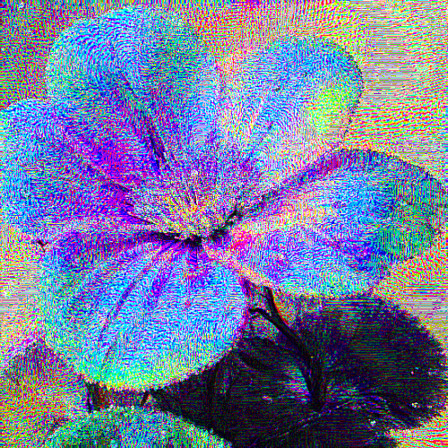 another flower.gif