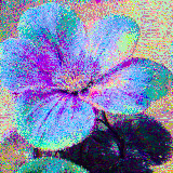 another flower