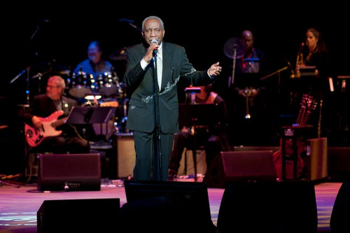 79472221007 131565791.jpg