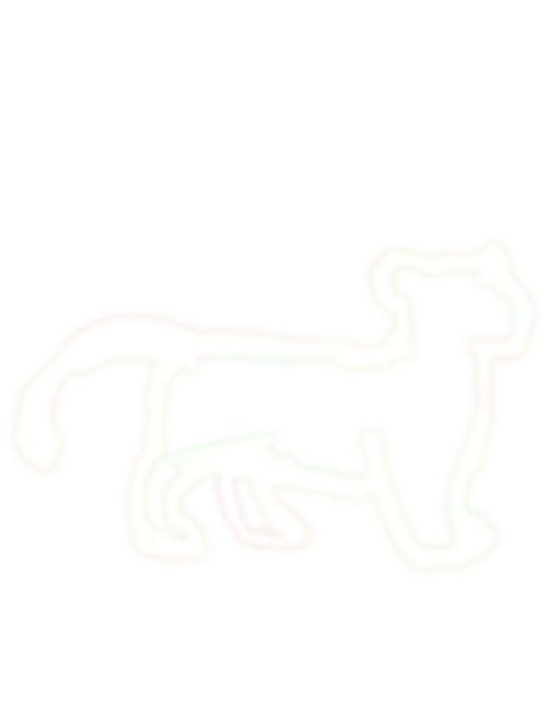 Untitled728 20250725204426.png