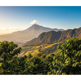 Gemini Generated Image c7jdpnc7jdpnc7jd (1)