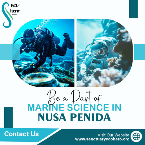 Be a Part of Marine Science in Nusa Penida.jpg