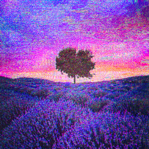a lonely tree amongst the lavender