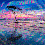 shore tree