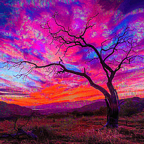naked tree