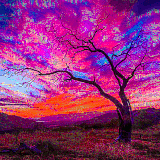 naked tree