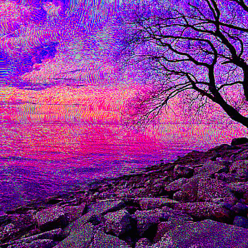 tree shore.gif