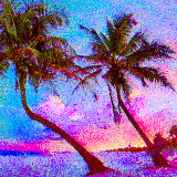 palm trees