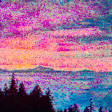 beyond the treeline sunset