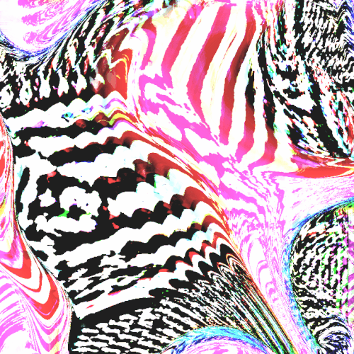 zebra bubblegum