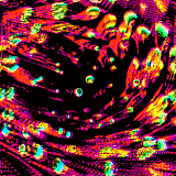 warp NOVA