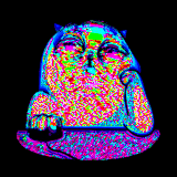 sleeping at my computer