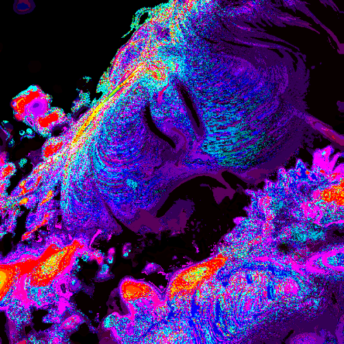 sleeping on flowers.gif