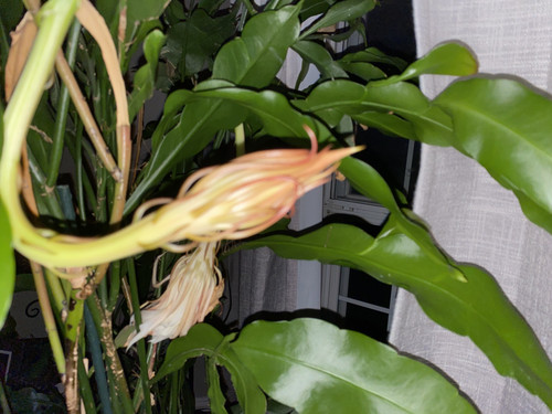 IMG 0997.jpg
