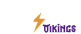 logo vikings net.png