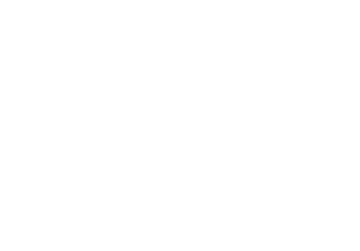 VNG logo.png