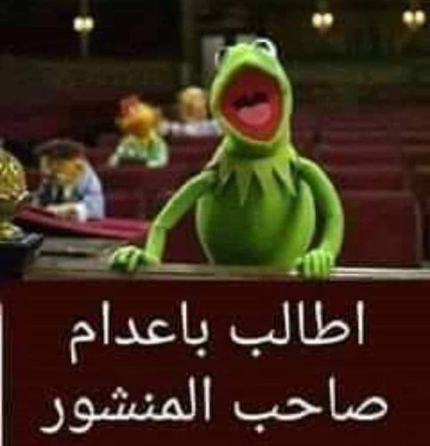 6dc9583a9fcf7effff887fc9b038ac2f