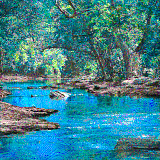 flowing forest river
