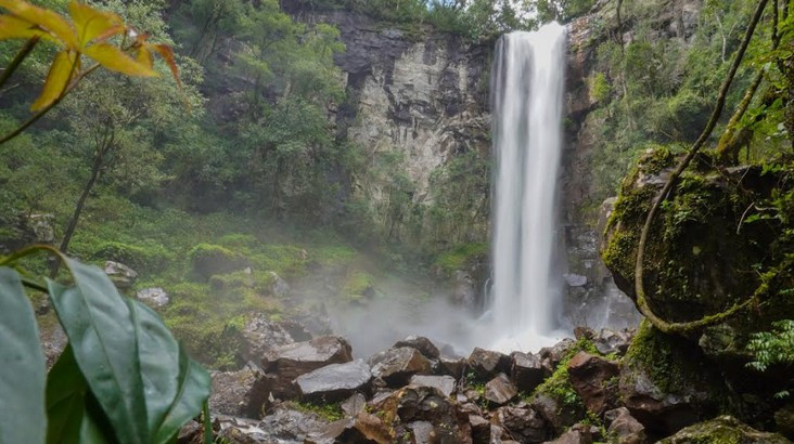 Vacaciones en verde: tres destinos imperdibles en Misiones