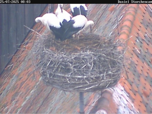MWSnap643.jpg