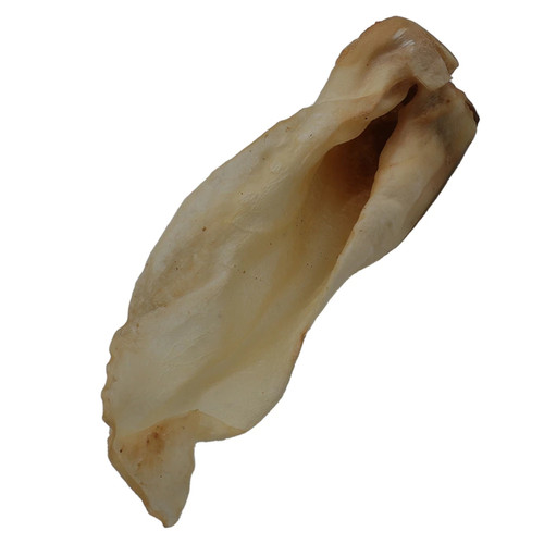 image WH 1200x1200px (78).jpg