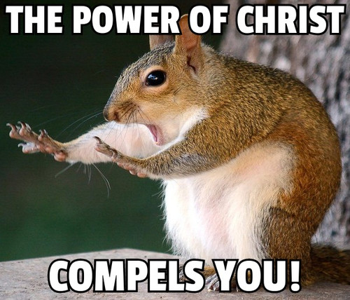 powerofchristsquirrel.jpg