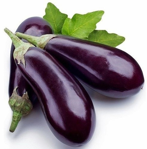 50 global multicom brinjal seeds.jpg