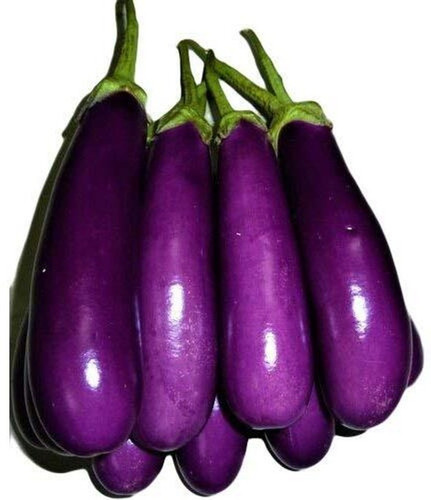 50 purple brinjal seeds long egg.jpg