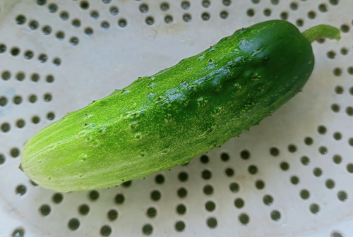 IMG 20250726 093756.jpg