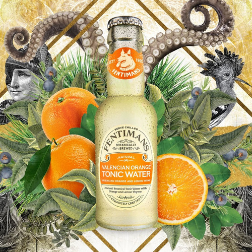 Refresh Your Taste with Fentiman Valencian Orange Tonic Pack.jpg