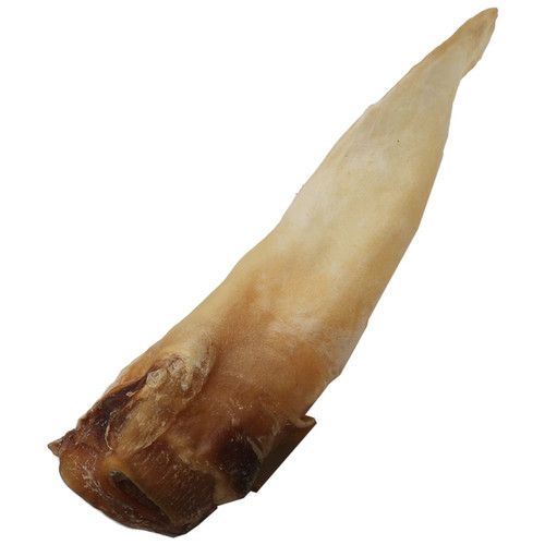 image WH 1200x1200px (96).jpg